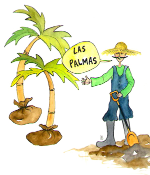 Palmer og en gartner som sier "Las Palmas".